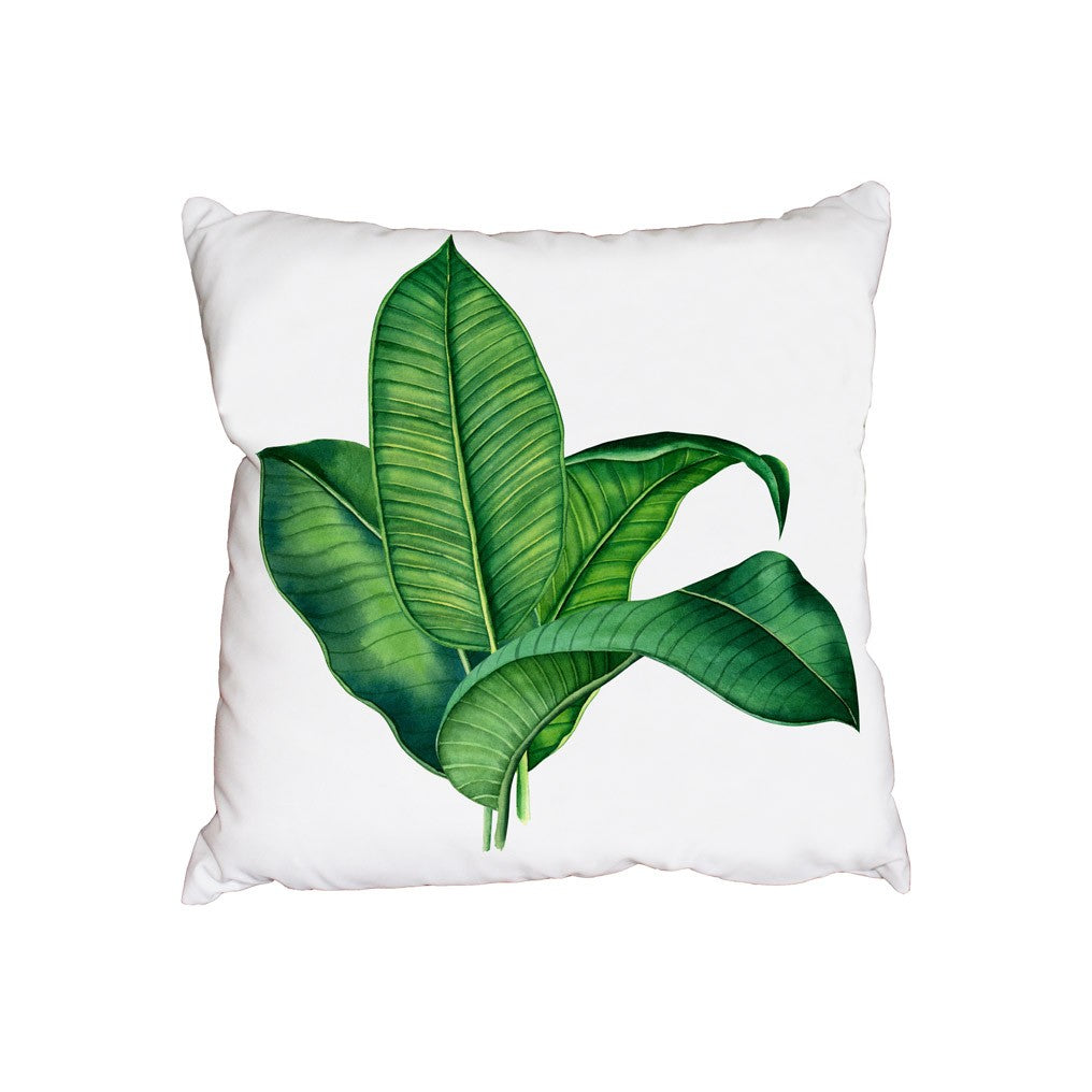 New Product Palm Leaf (Cushion)  - Andrew Lee Home and Living Homeware
