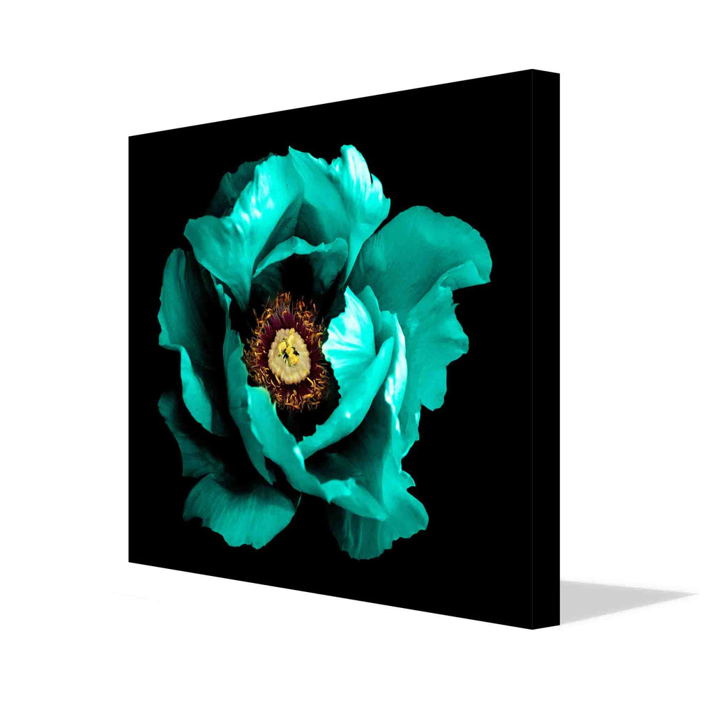 New Product Surreal dark, chrome, cyan, peony flower (Canvas Print)  - Andrew Lee Home and Living Homeware