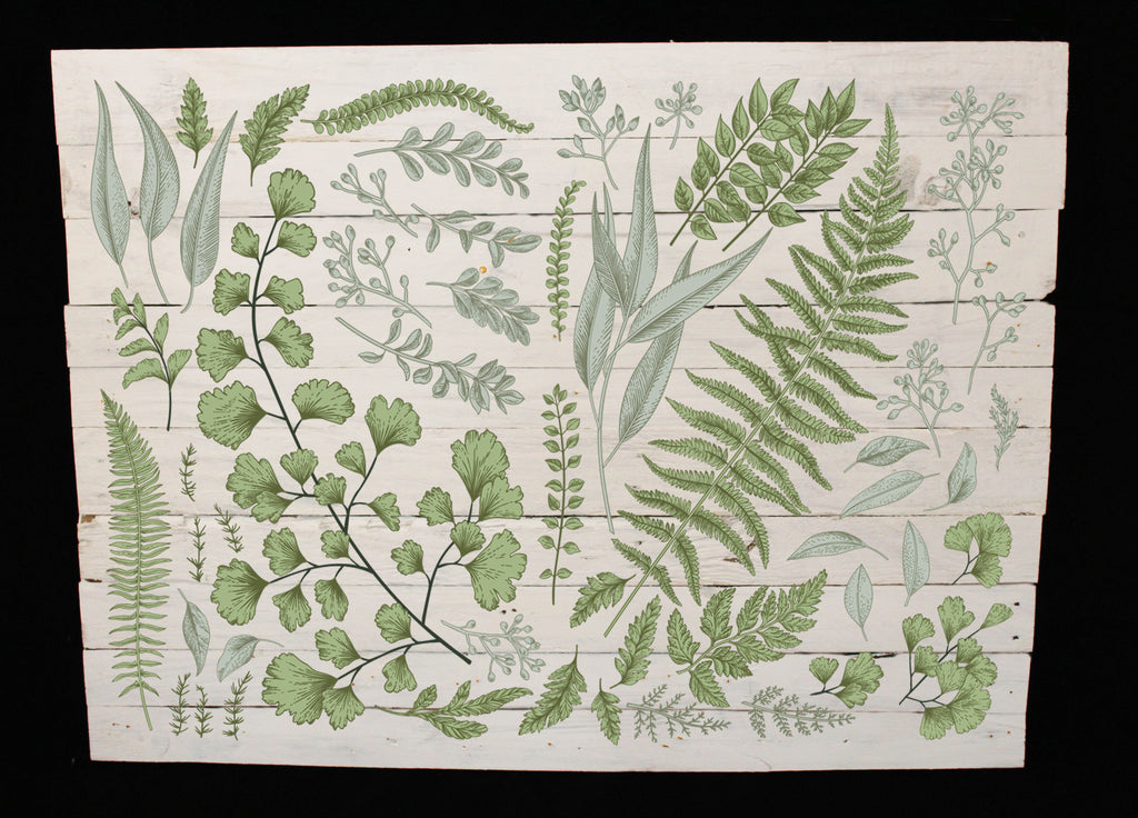 Reclaimed Wood Print - New Product Botanic Leaves mix 2 (Reclaimed white wood)  - Andrew Lee Home and Living Homeware
