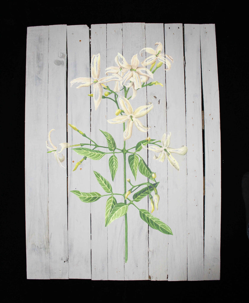 Reclaimed Wood Print - New Product Watercolour Jasmine flower (Reclaimed white wood)  - Andrew Lee Home and Living Homeware