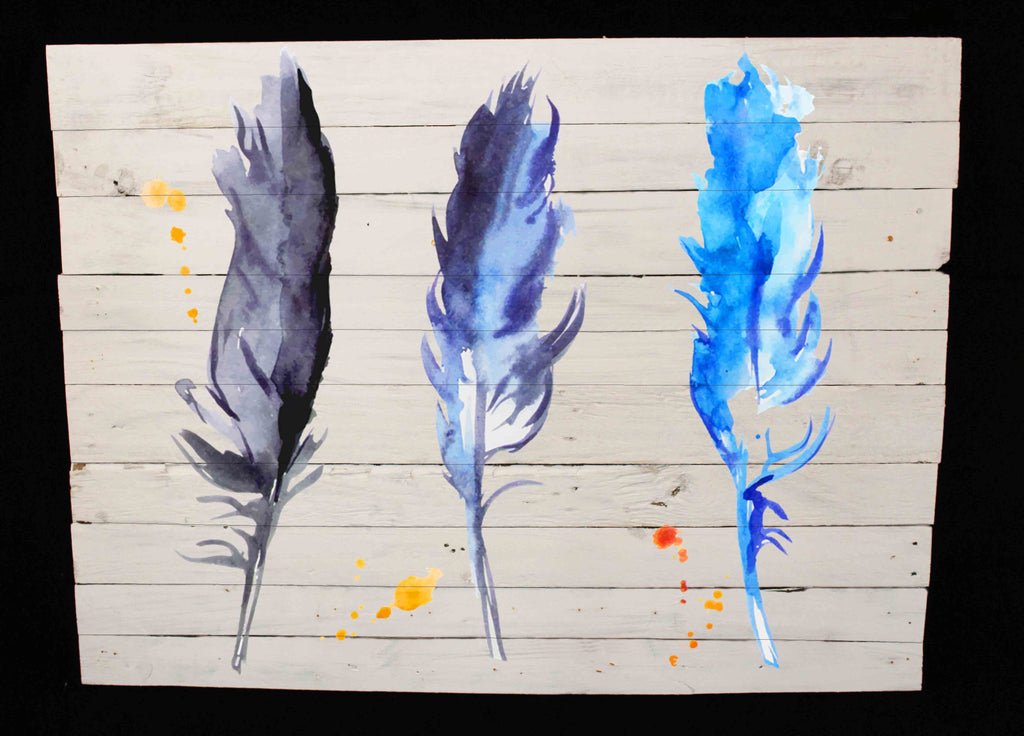 Reclaimed Wood Print - New Product Watercolour  feathers (Reclaimed white wood)  - Andrew Lee Home and Living Homeware