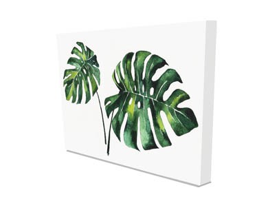 New Product Twin Palm leaves (Canvas Print)  - Andrew Lee Home and Living Homeware