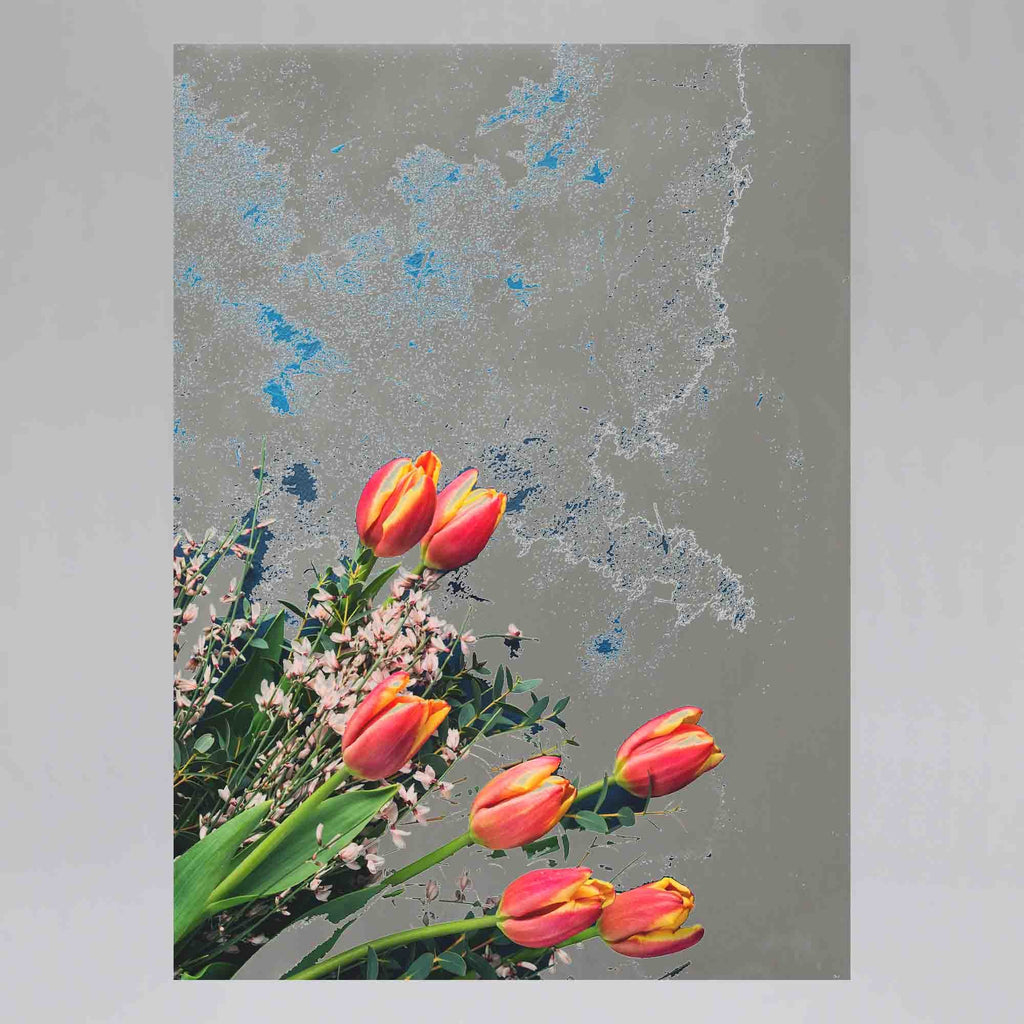 New Product Tulip bouquet on dark (Mirror Art print)  - Andrew Lee Home and Living