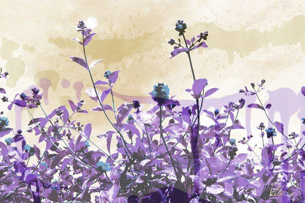 New Product Purple Flowers  - Andrew Lee Home and Living Homeware