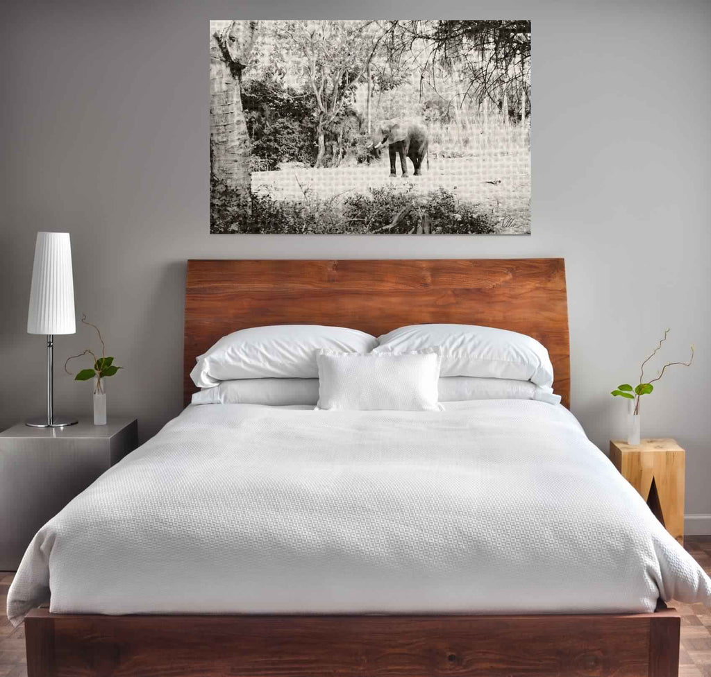 New Product Elephant jungle  - Andrew Lee Home and Living Homeware