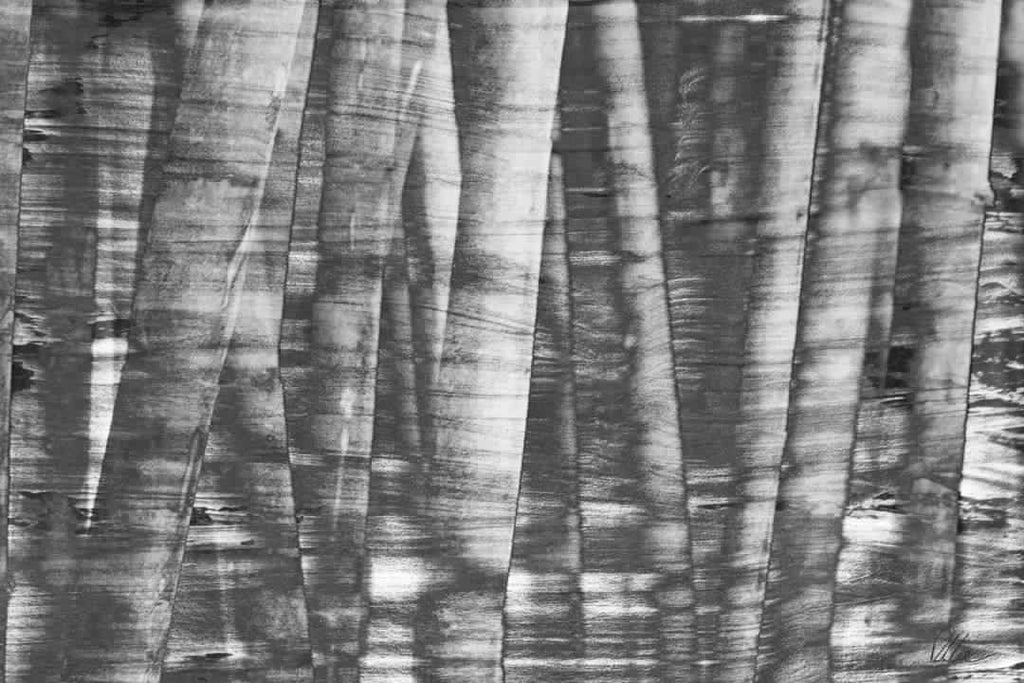 New Product Black and white bamboo  - Andrew Lee Home and Living Homeware