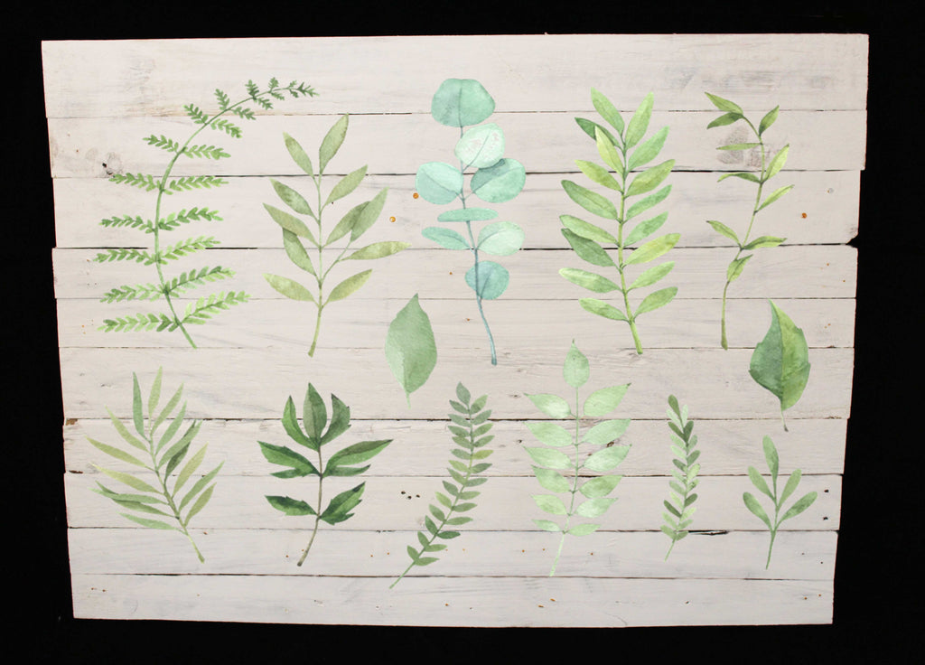 Reclaimed Wood Print - New Product Botanic Leaves Mix  (Reclaimed white wood print)  - Andrew Lee Home and Living Homeware