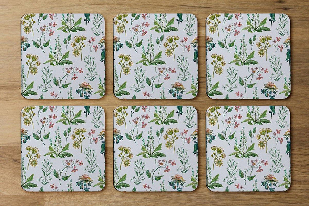 Watercolour Leaves & Flowers (Coaster) - Andrew Lee Home and Living