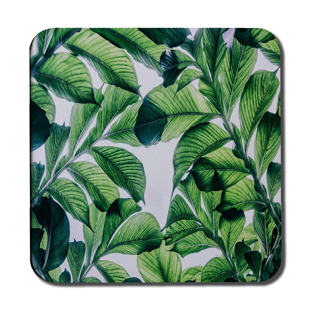 Tropical Palm (Coaster) - Andrew Lee Home and Living
