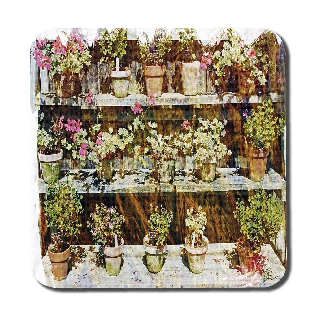 plant pots (Coaster) - Andrew Lee Home and Living