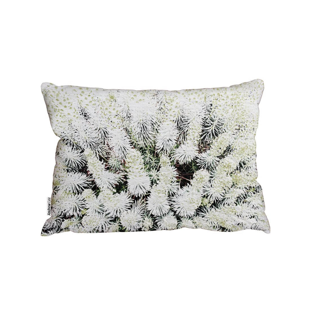 New Product Beautifully White (Cushion)  - Andrew Lee Home and Living