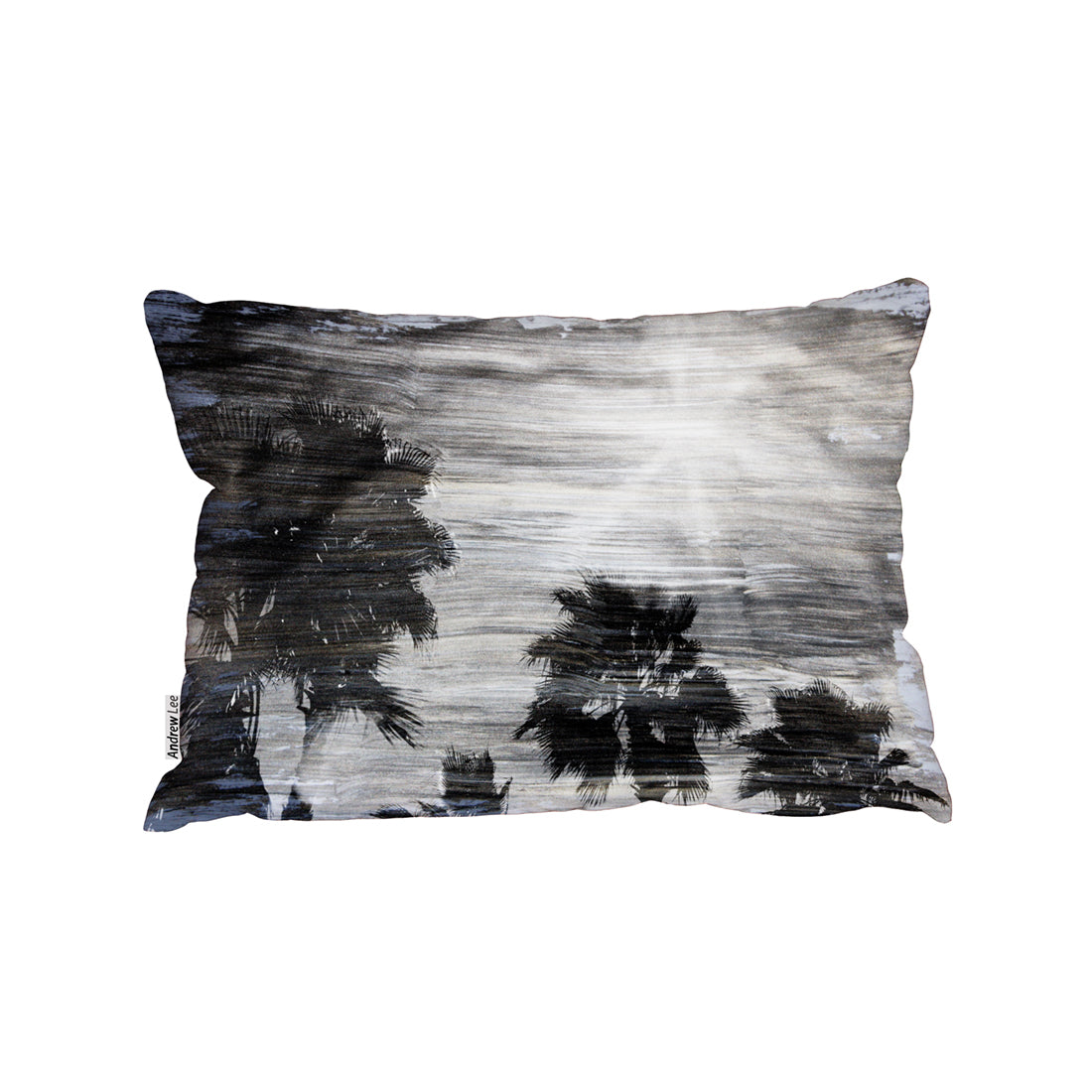 Black hot sale silver cushions